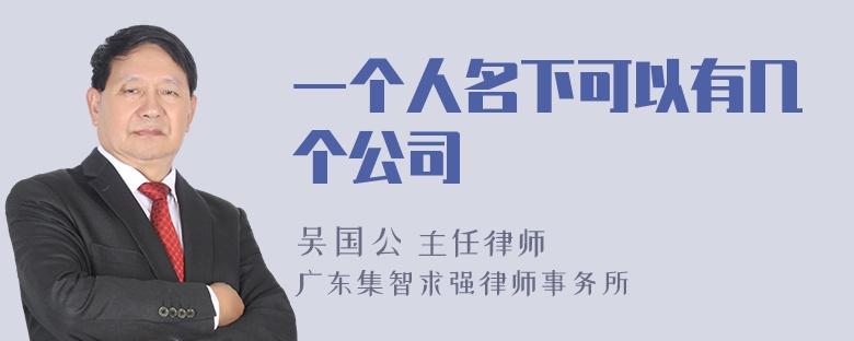 一个人名下可以有几个公司