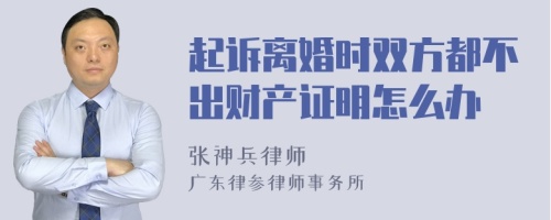 起诉离婚时双方都不出财产证明怎么办