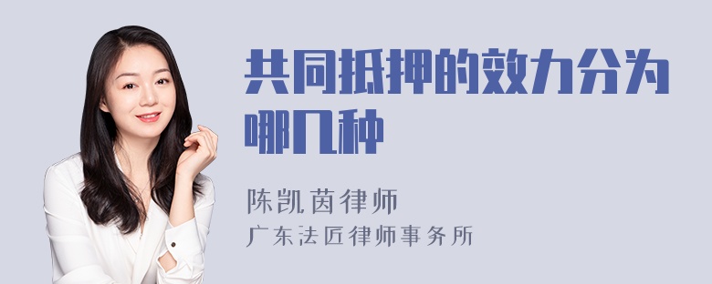 共同抵押的效力分为哪几种