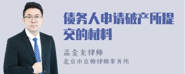 债务人申请破产所提交的材料