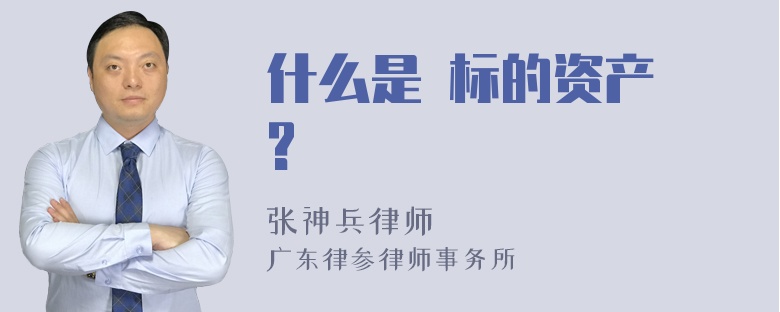 什么是 标的资产 ?