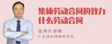 集体劳动合同的效力什么劳动合同