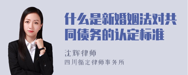 什么是新婚姻法对共同债务的认定标准