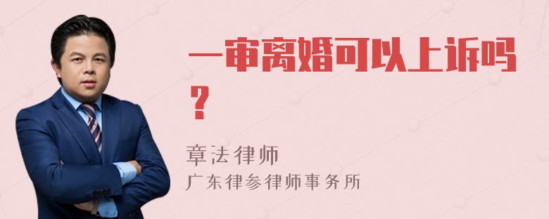 一审离婚可以上诉吗？