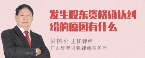 发生股东资格确认纠纷的原因有什么