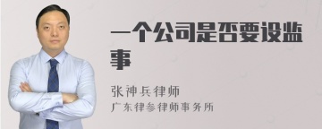 一个公司是否要设监事