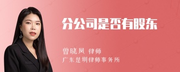 分公司是否有股东