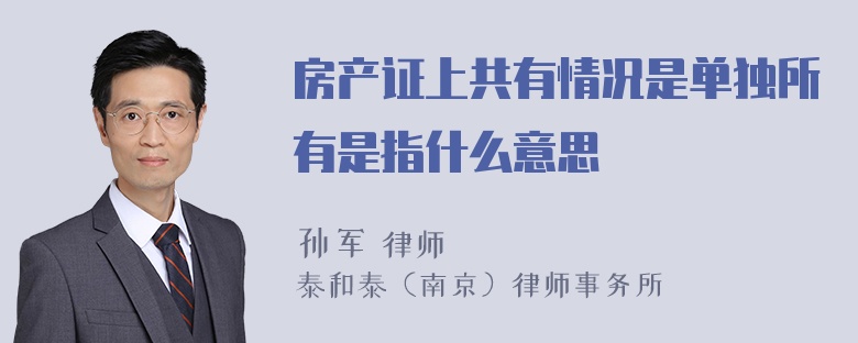 房产证上共有情况是单独所有是指什么意思