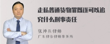 走私普通货物罪既遂可以追究什么刑事责任