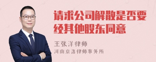 请求公司解散是否要经其他股东同意