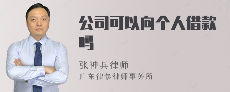 公司可以向个人借款吗