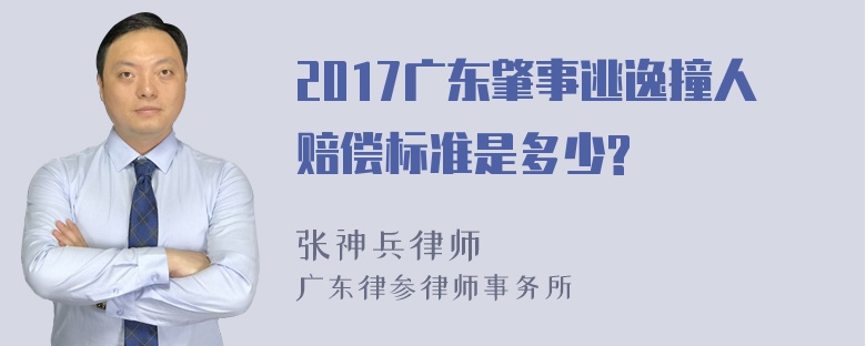 2017广东肇事逃逸撞人赔偿标准是多少?