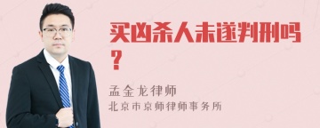 买凶杀人未遂判刑吗？