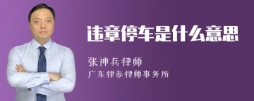 违章停车是什么意思