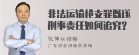 非法运输枪支罪既遂刑事责任如何追究?