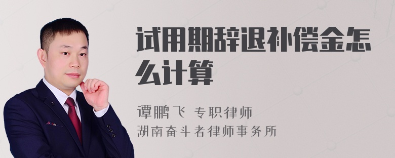 试用期辞退补偿金怎么计算