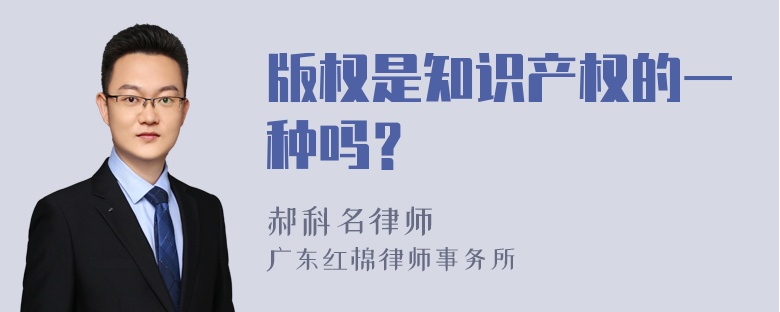 版权是知识产权的一种吗？