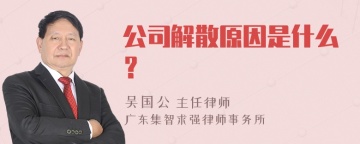 公司解散原因是什么？