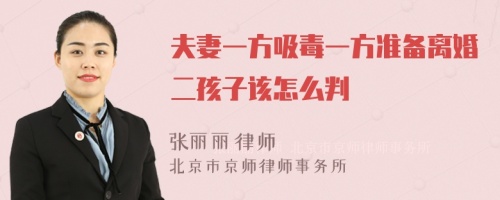 夫妻一方吸毒一方准备离婚二孩子该怎么判