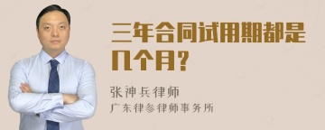 三年合同试用期都是几个月？