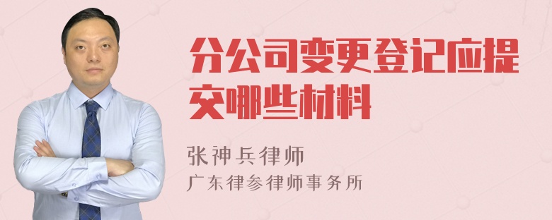 分公司变更登记应提交哪些材料