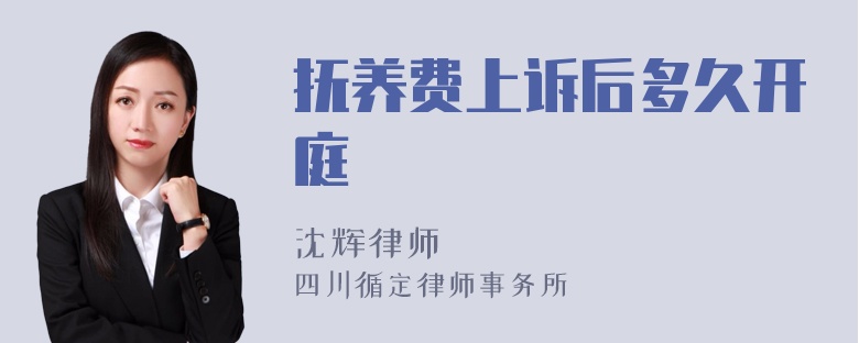 抚养费上诉后多久开庭