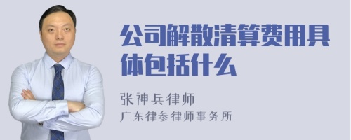 公司解散清算费用具体包括什么