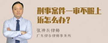 刑事案件一审不服上诉怎么办？