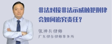 非法对接非法示威触犯刑律会如何追究责任？