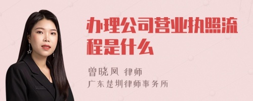 办理公司营业执照流程是什么