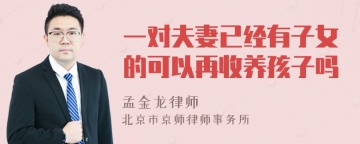 一对夫妻已经有子女的可以再收养孩子吗