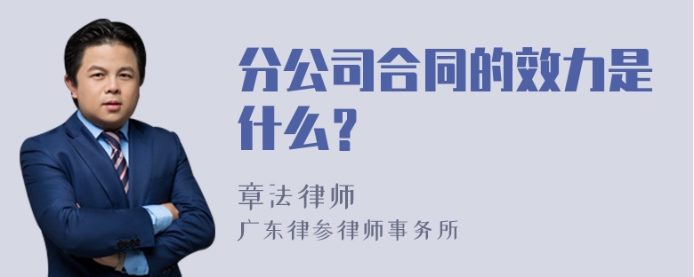 分公司合同的效力是什么？