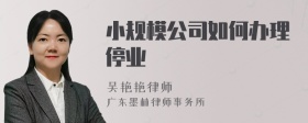 小规模公司如何办理停业