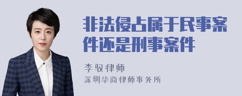 非法侵占属于民事案件还是刑事案件