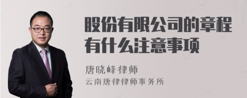 股份有限公司的章程有什么注意事项