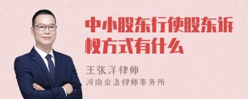 中小股东行使股东诉权方式有什么