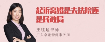 起诉离婚是去法院还是民政局