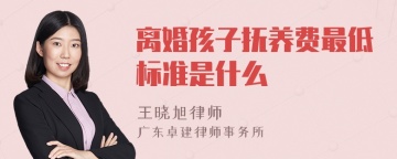 离婚孩子抚养费最低标准是什么