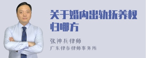 关于婚内出轨抚养权归哪方