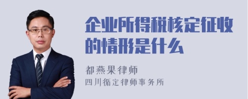 企业所得税核定征收的情形是什么