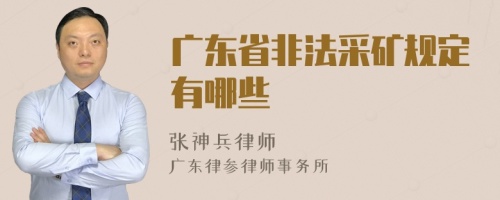 广东省非法采矿规定有哪些