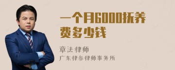 一个月6000抚养费多少钱