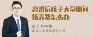 离婚后孩子大学期间抚养费怎么办