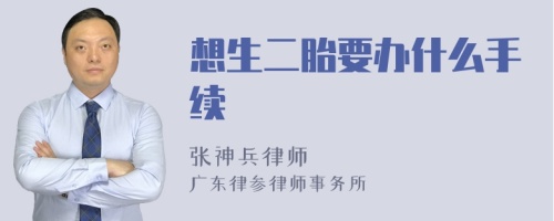 想生二胎要办什么手续