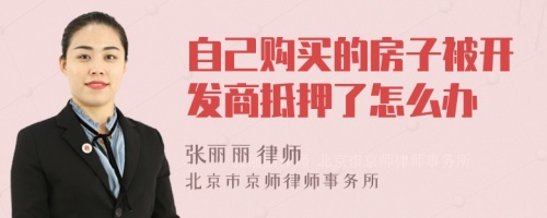 自己购买的房子被开发商抵押了怎么办