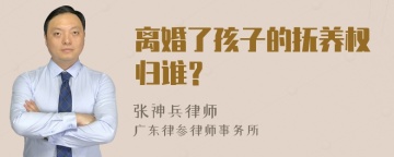 离婚了孩子的抚养权归谁？