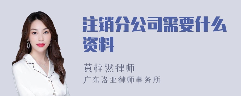 注销分公司需要什么资料