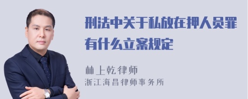 刑法中关于私放在押人员罪有什么立案规定