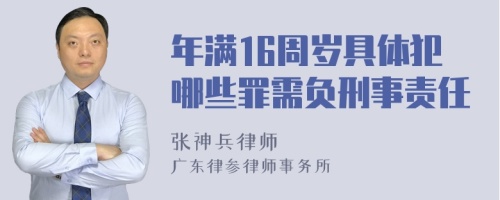 年满16周岁具体犯哪些罪需负刑事责任