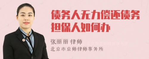 债务人无力偿还债务担保人如何办